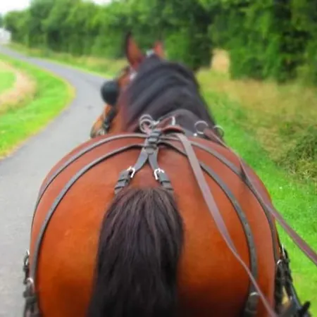 De La Marzelle Tatil Evi *