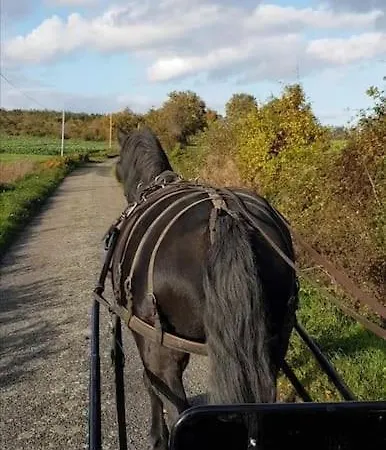 De La Marzelle Hébergement de vacances Saint-Sulpice-des-Landes