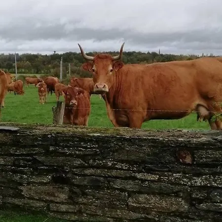 De La Marzelle Hébergement de vacances Saint-Sulpice-des-Landes