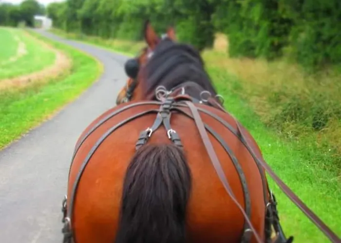 De La Marzelle Tatil Evi *
