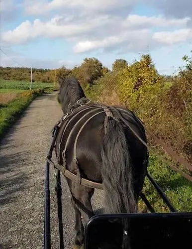 De La Marzelle Дом отдыха Saint-Sulpice-des-Landes