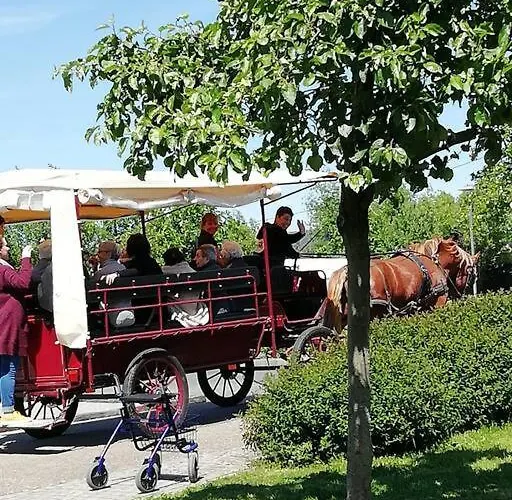 Tatil Evi De La Marzelle *