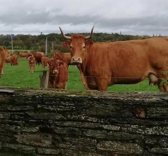 De La Marzelle Дом отдыха Saint-Sulpice-des-Landes
